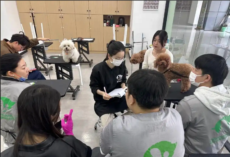 通化市宠物美容学习宠物美容培训学校 - 厂家
